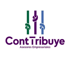 CONTTRIBUYE ASESORES EMPRESARIALES S.A.C.